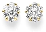 14k Yellow Gold Diamond Cluster Prong-Set Earrings (1/4 cttw, I1 Clarity, H-I Color)