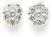 14k Yellow Gold Diamond Cluster Prong-Set Earrings (1/4 cttw, I1 Clarity, H-I Color)