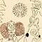 Discover Fairytale Folk