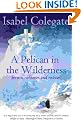 A Pelican in the Wilderness: Hermits, Solitaries and Recluses