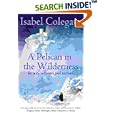 A Pelican in the Wilderness: Hermits, Solitaries and Recluses
