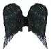 Feather Angel Wings Adult