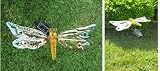 Stainless Steel Dragonfly Solar Light