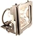 SHARP BQC-XGC50X//1 OEM PROJECTOR LAMP EQUIVALENT WITH HOUSING