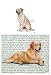 Labrador (Yellow) Glass Cutting Board