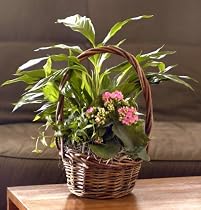 Spring Garden Basket