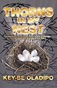 Thorns In My Nest: Overcoming Rejections, Past Hurts and Wounds of the Spirit in the Darkest of Times
