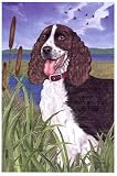 Springer Spaniel Garden Flag (12.5