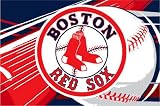MLB Boston Red Sox 40x60 Tufted Rug