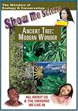 Ancient Tree: Modern Wonder