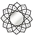 Grasslands Road Metal Lotus Mirror, 18-Inch