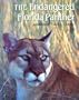 The Endangered Florida Panther