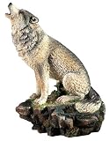 Wildlife