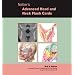 Netter's Advanced Head & Neck Flash Cards (Netter Basic Science)