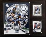 NFL Indianapolis Colts 2011 Team Plaque