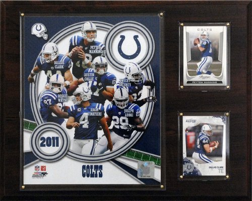 NFL Indianapolis Colts 2011 Team Plaque
