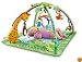 Fisher-Price Rainforest Melodies & Lights Deluxe Gym