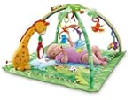 FisherPrice Rainforest