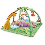 FisherPrice Rainforest