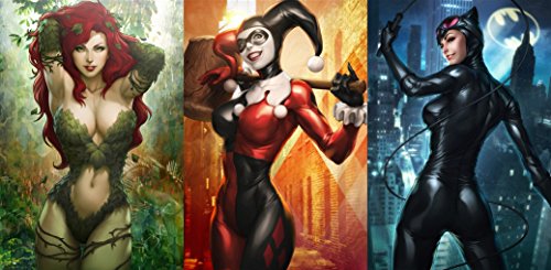 Harley Quinn Batman Arkham City Fabric Cloth Rolled Wall Poster Print -- Size: (47