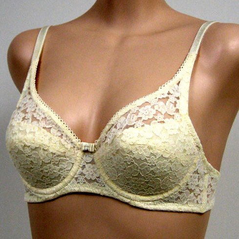 Jasmin $15 BEIGE Floral/LACE Padded BRA #2635 32AA