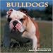 bulldog28 - Bulldogs 2010 Wall Calendar 12 X 12