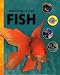 Owning a Pet Fish