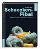 Schnecken-Fibel: Attraktiv und nuetzlich im Suesswasseraquarium