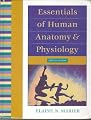 Essentials of Human Anatomy & Physiology