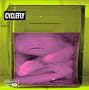 Cyclefly