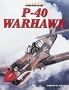 P-40 Warhawk (Warbird History)
