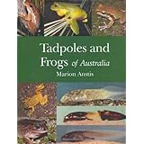 tadpoles and frogs of australia