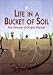 Life in a Bucket of Soil
