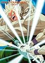 Dragon Ball Z: World Tournament [VHS]