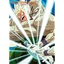 DragonBall Z: World Tournament Saga/ 3 DVD Set