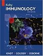 Kuby Immunology