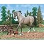 Breyer Classic Grooming Gift Set