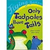 Only Tadpoles Have Tails (Flying Foxes)