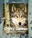 Crafty Canines: Coyotes, Foxes, and Wolves (Watts Library: Animals)