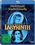 Die Reise ins Labyrinth [Blu-ray]