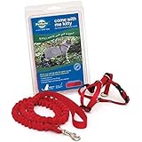 Petsafe Come With Me Kitty Harness and Bungee Leash, Medium, Red