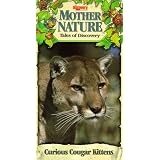 Mother Nature: Curious Cougar Kittens [VHS]
