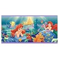Disney Princess Ariel Border