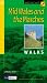 Mid Wales and the Marches: Walks (Pathfinder Guide)