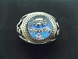 Katekyo Hitman Reborn Cosplay Costume Accessories - Vongola Metal Ring of Sky V2
