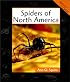 Spiders of North America (Animals in Order)