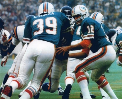 BOB GRIESE & LARRY CSONKA MIAMI DOLPHINS 8X10 SPORTS ACTION PHOTO (1)