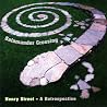 Image of album by Salamander Crossing