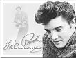 Elvis - Sun Never Sets Tin Sign 16"W x 12"H