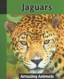 Books : Jaguars (Amazing Animals)